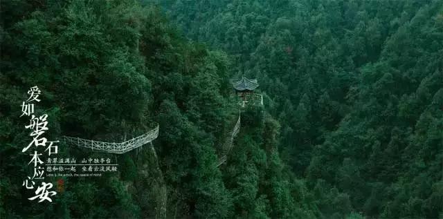 逃出蜜蜂岛