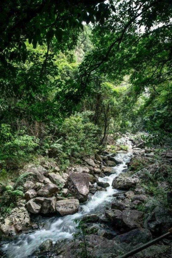 “自流黑”整治行动三年来，济南查扣涉案油品239.5吨